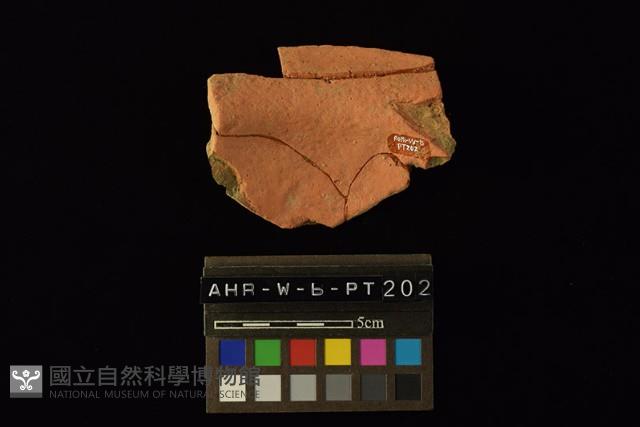 陶盆藏品圖，第4張