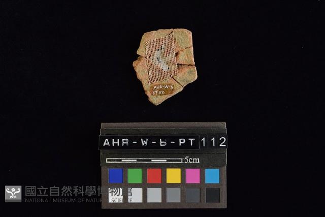 陶片藏品圖，第4張