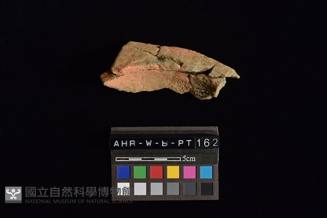 連杯形器藏品圖，第4張