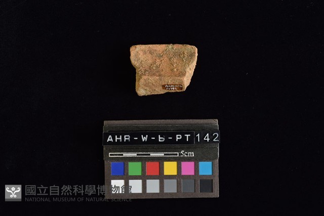 陶罐藏品圖，第4張