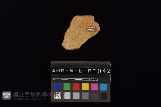 陶片藏品圖，第1張