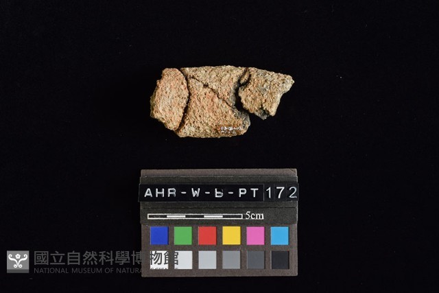 陶罐藏品圖，第1張