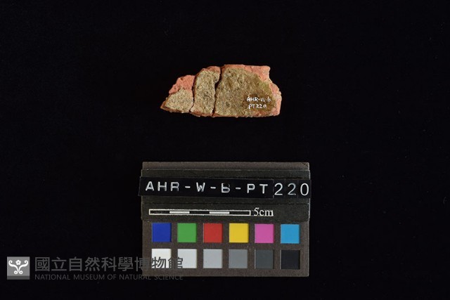 陶片藏品圖，第1張
