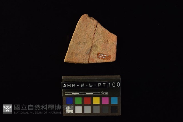 陶片藏品圖，第4張