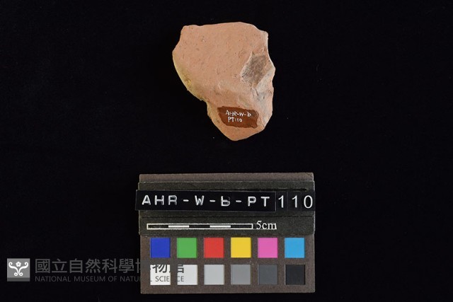 陶罐藏品圖，第4張