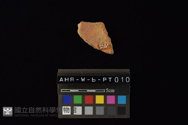 陶片藏品圖，第1張
