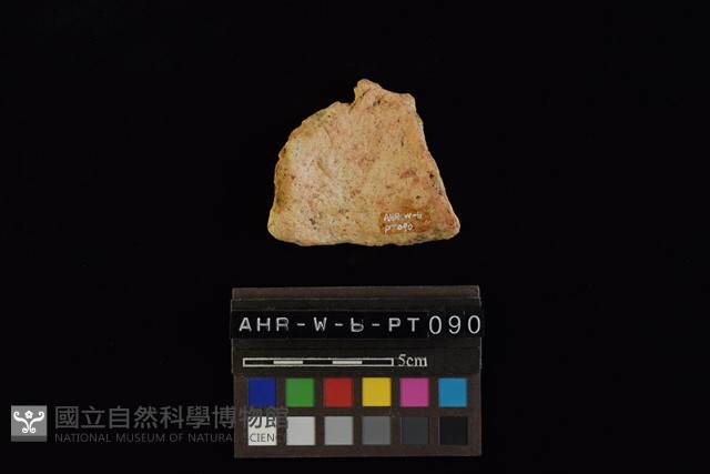 陶片藏品圖，第4張