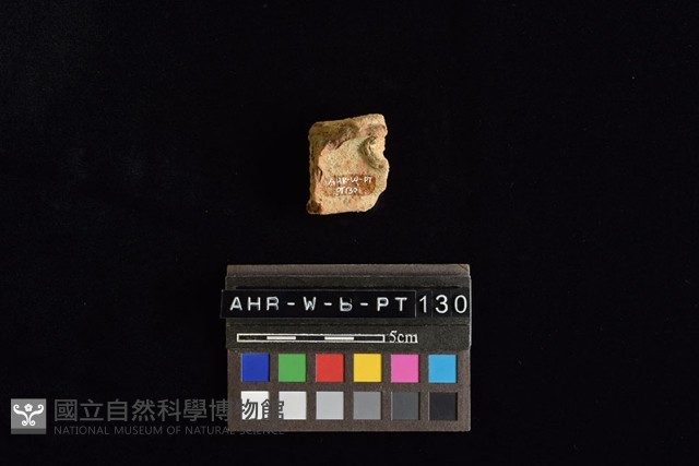 陶片藏品圖，第1張