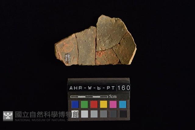 陶片藏品圖，第4張