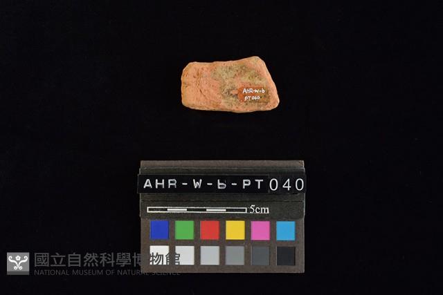 陶片藏品圖，第1張