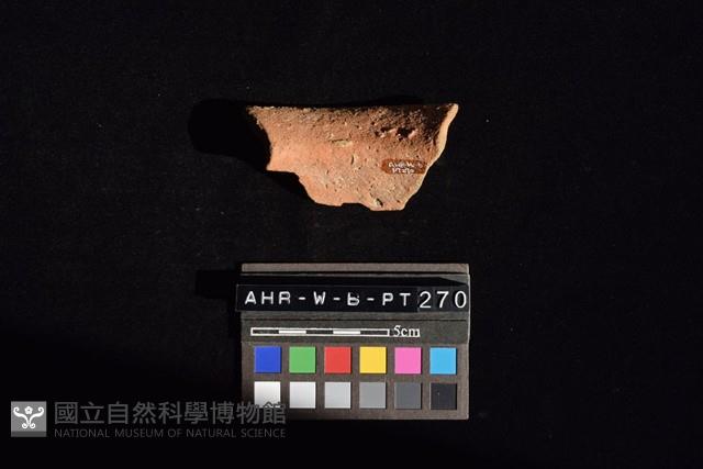 Accession Number:AHR-W-b-PT270 Collection Image, Figure 1, Total 4 Figures