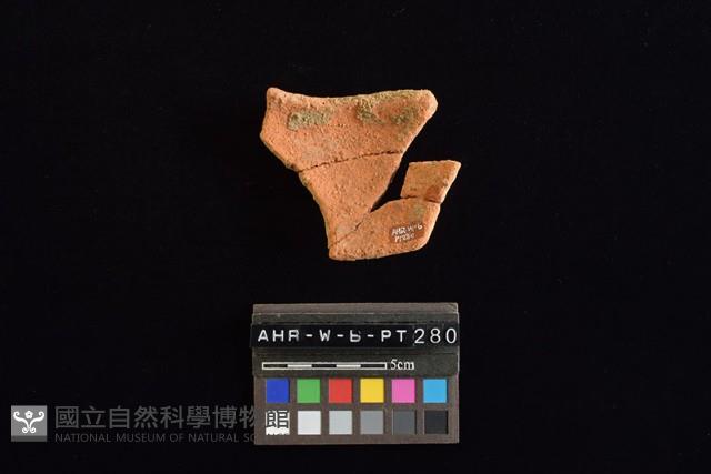 陶片藏品圖，第4張