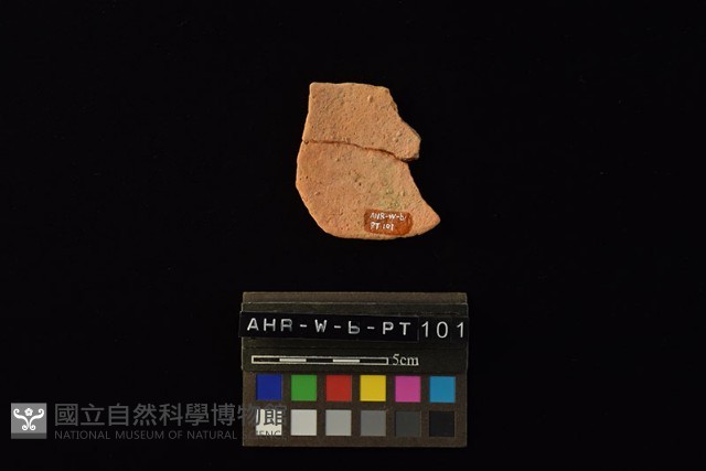 陶片藏品圖，第1張