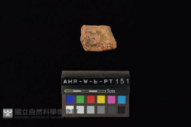 陶片藏品圖，第4張