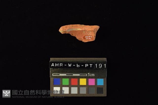 陶片藏品圖，第4張