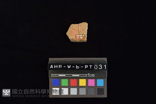 陶片藏品圖，第1張