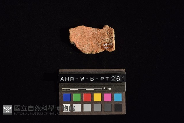 陶片藏品圖，第4張