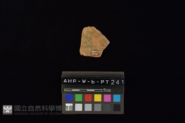陶片藏品圖，第1張