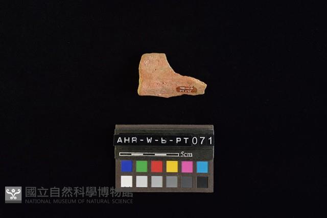 陶罐藏品圖，第4張