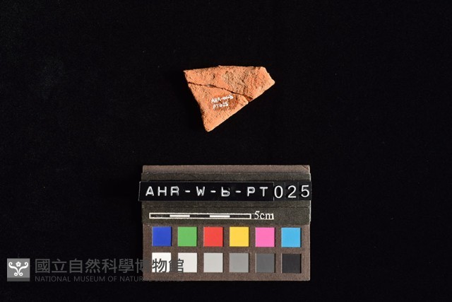 陶片藏品圖，第4張