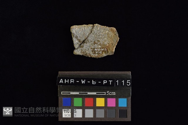 陶片藏品圖，第4張