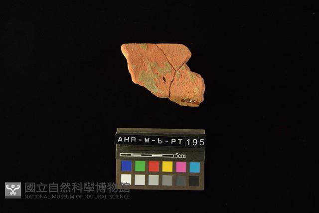 陶罐藏品圖，第4張