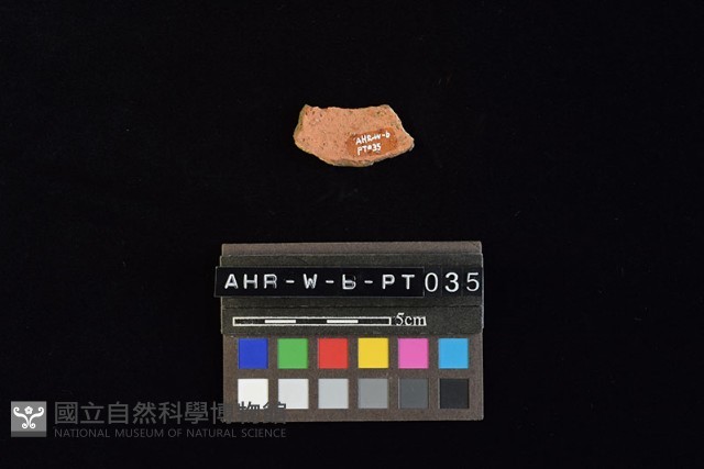 陶片藏品圖，第1張