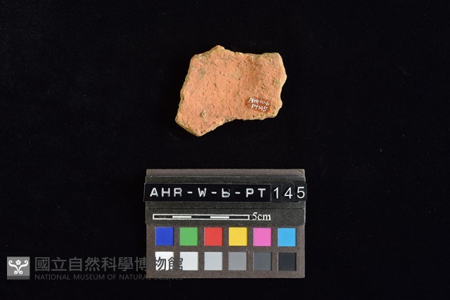 陶片藏品圖，第1張