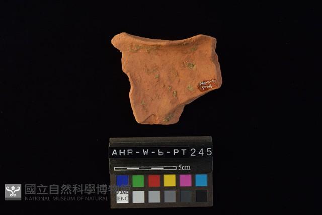 陶片藏品圖，第4張