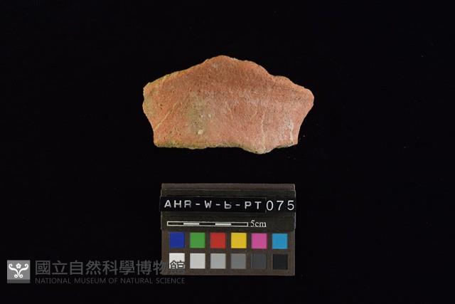 陶片藏品圖，第5張