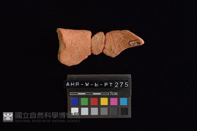 陶罐藏品圖，第4張