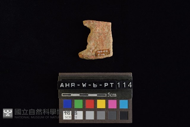陶片藏品圖，第4張