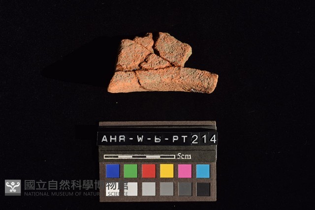 陶罐藏品圖，第4張