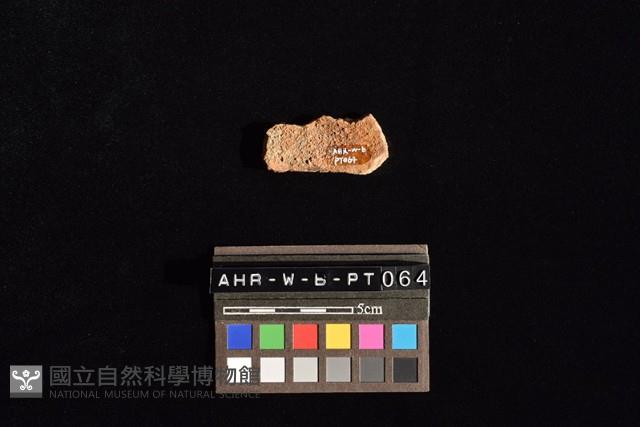 陶片藏品圖，第1張