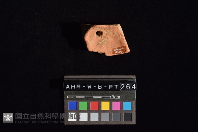 陶片藏品圖，第4張
