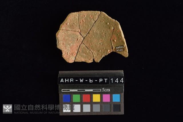 陶片藏品圖，第4張