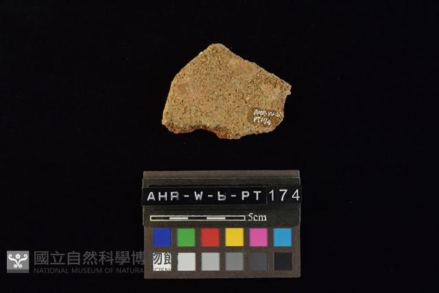 陶片藏品圖，第4張