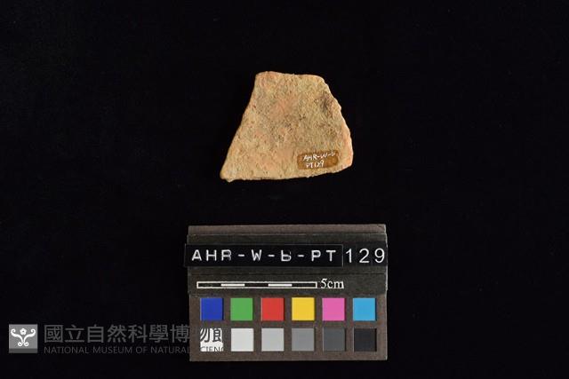 陶片藏品圖，第4張