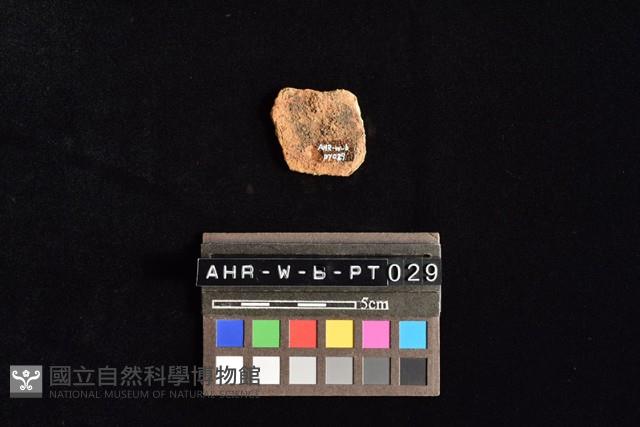 陶片藏品圖，第4張