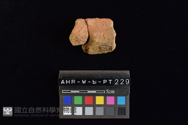 陶罐藏品圖，第1張