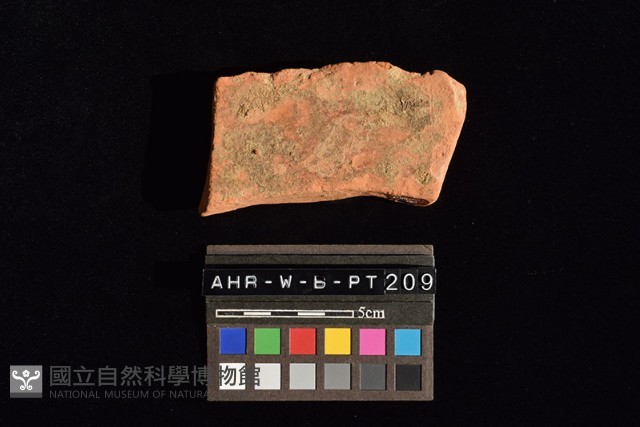 連杯形器藏品圖，第4張
