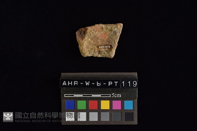 陶片藏品圖，第4張