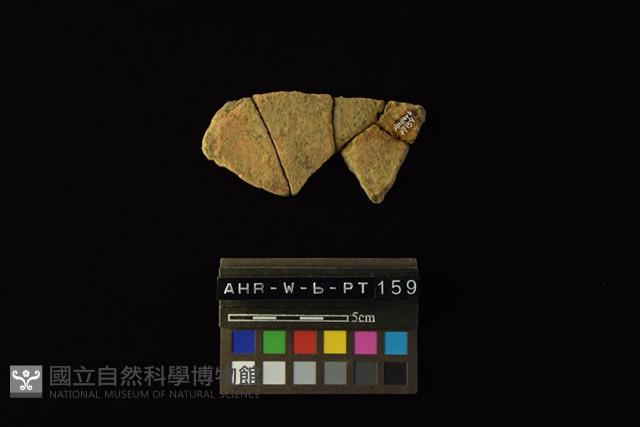 陶片藏品圖，第4張