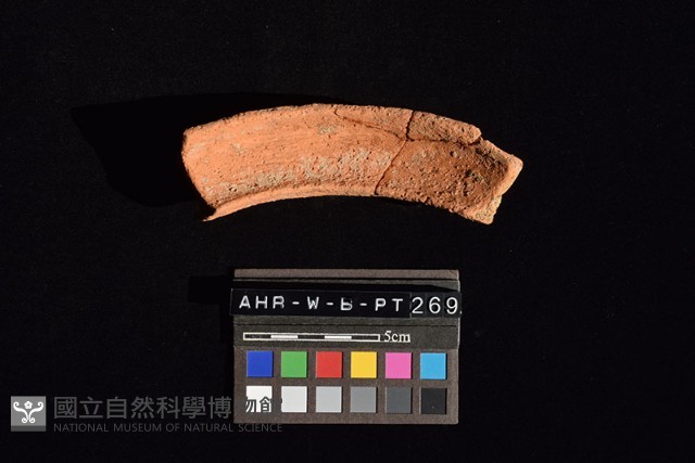 陶罐藏品圖，第4張