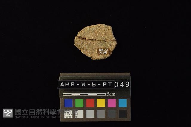 陶片藏品圖，第1張