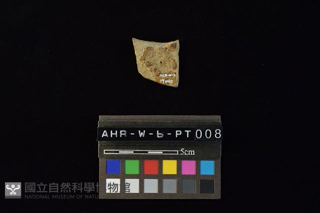 陶片藏品圖，第1張