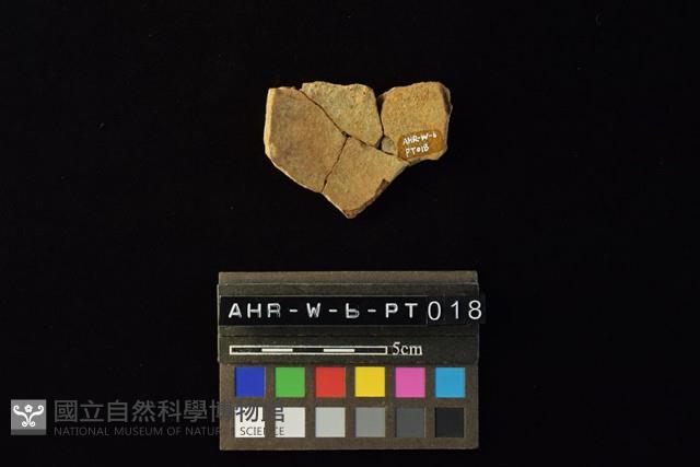 陶罐藏品圖，第1張