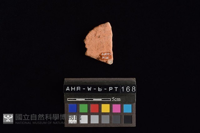陶片藏品圖，第4張