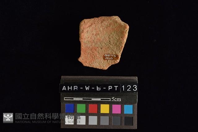 陶罐藏品圖，第4張