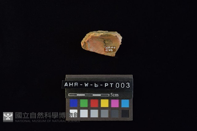 陶片藏品圖，第4張